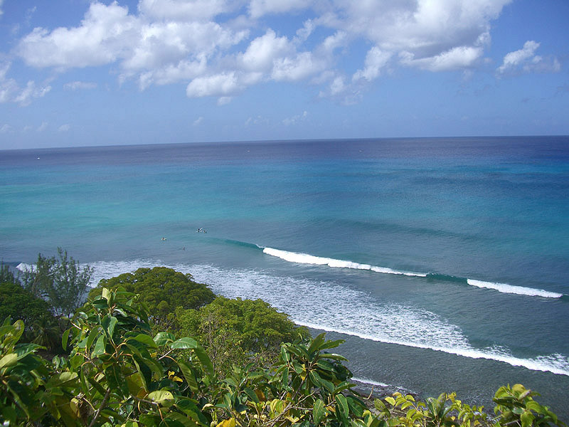 Surfing Maycocks in Barbados