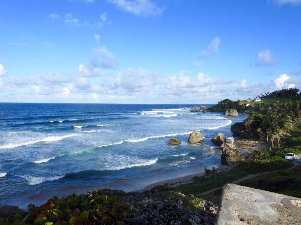 Surfing in Bathsheba Barbados