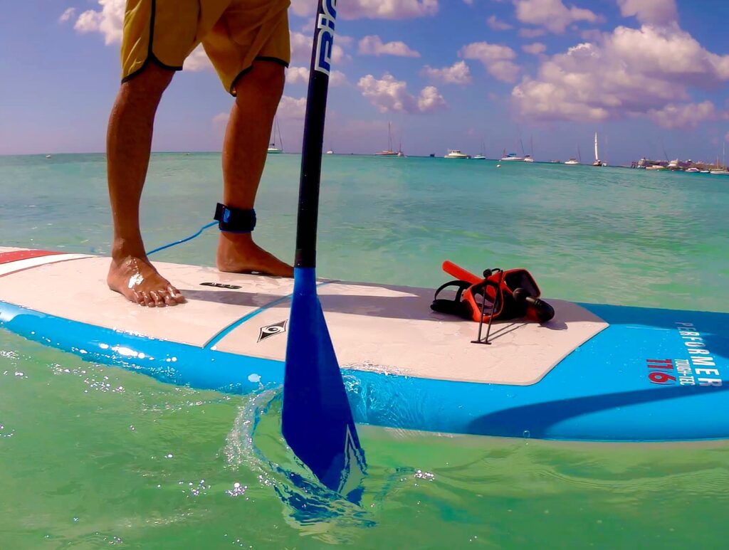 SUP and Snorkel in Barbados