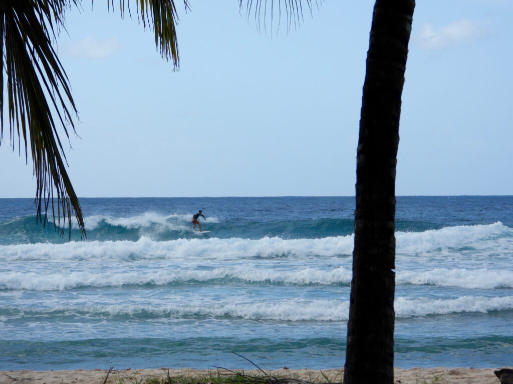 Surfing Drill Hall Barbados